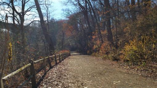Wissahickon Trails in the Fall