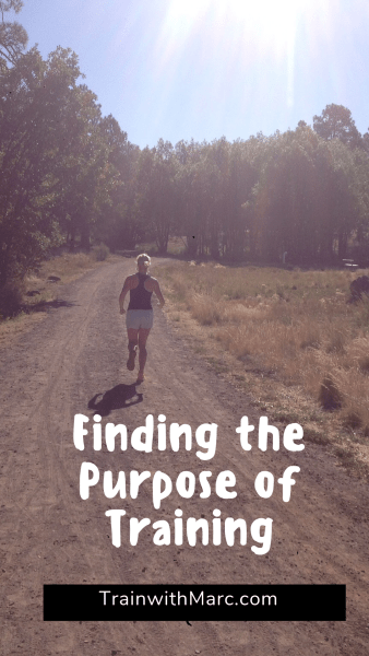 Finding the purpose of training: what's the point?